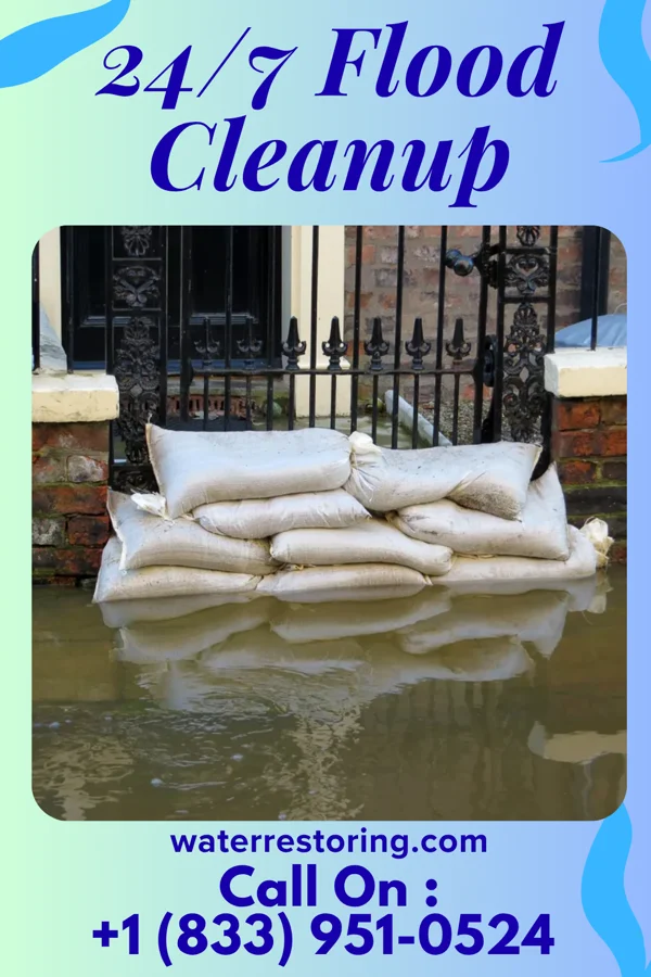 24/7 Flood Cleanup in Willow Grove, TX