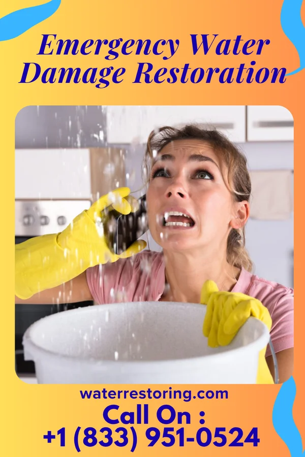 Emergency Water Damage Restoration in Willow Grove, TX