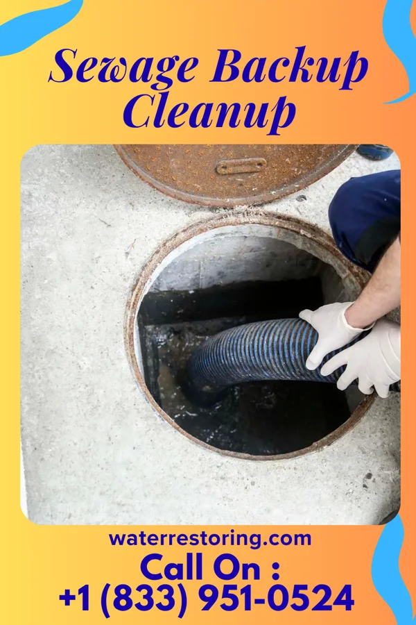 Sewage Backup Cleanup in Willow Grove, TX